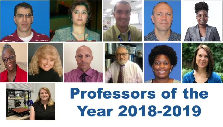 Professor of the Year 2018-2019