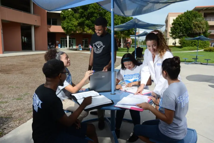 Broward College students