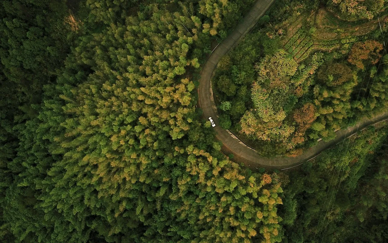 Drone view of aquaglide at Tigertail